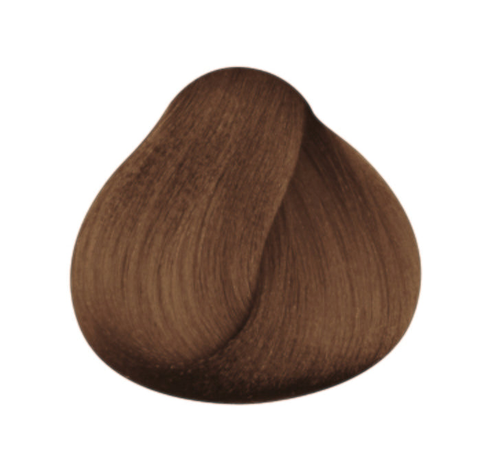 Garnier color naturals - 6.3 golden light brown hair color – Reanapk