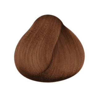 6.73 COR.color Dark Golden Brunette Blonde